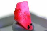Highly Fluorescent Ruby Crystal - Tanzania #380436-1